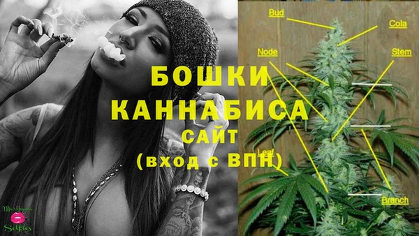 дмт Киселёвск