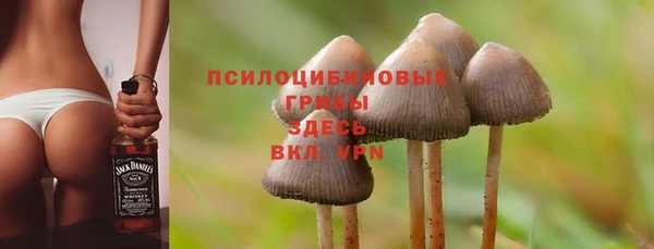прущий лед Аркадак