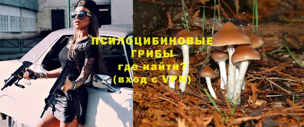 дживик Нягань